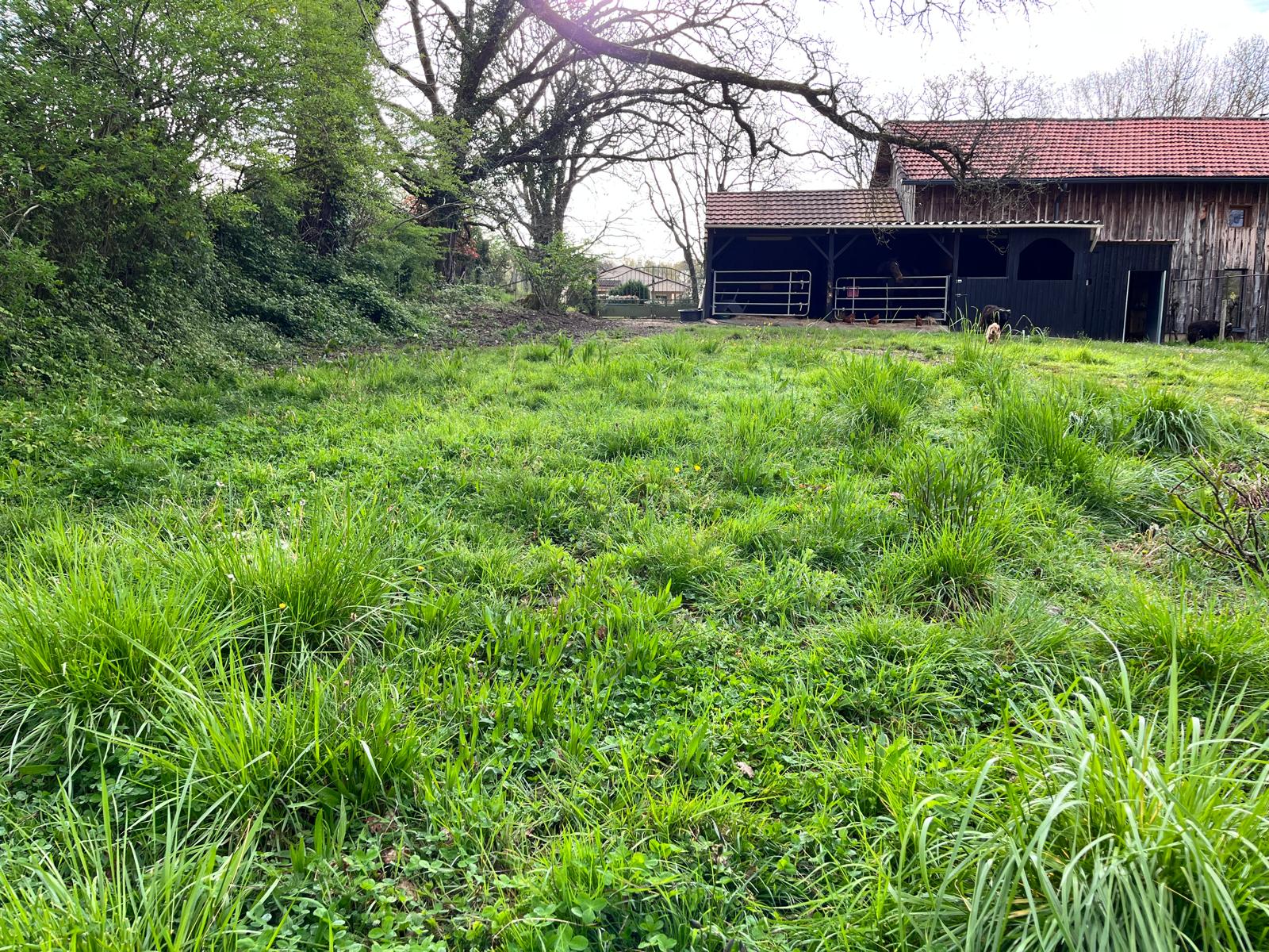 Open land and green space with potential uses in Mouleydier